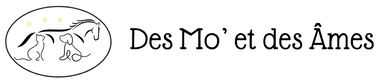 Logo Des Mo' et des Âmes