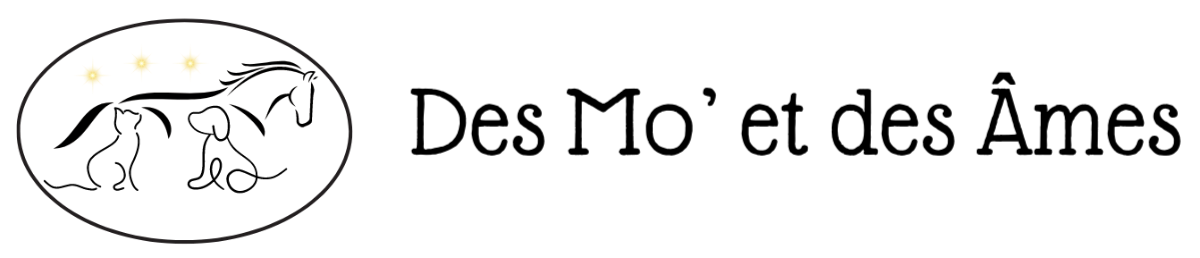 Logo Des Mo' et des Âmes