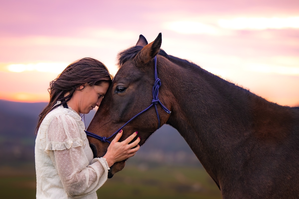 Tête à tête plein de bienveillance et de respect entre un cheval et la praticienne bien-être animal