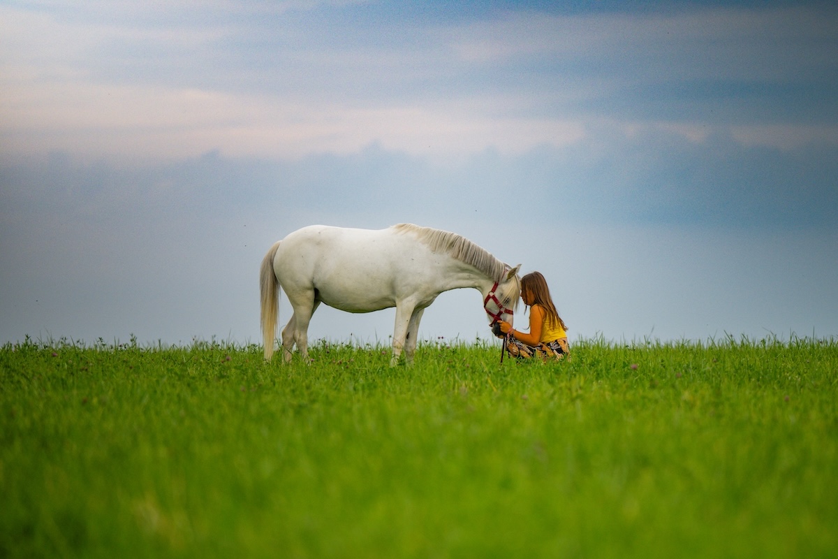 Lien profond entre une jeune fille et un cheval dans une prairie