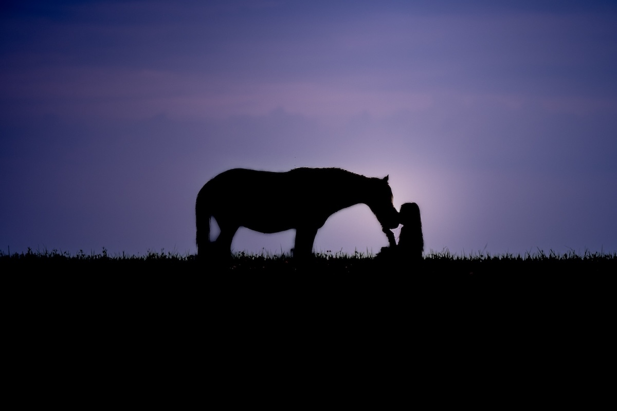 Lien profond entre une jeune fille et un cheval
