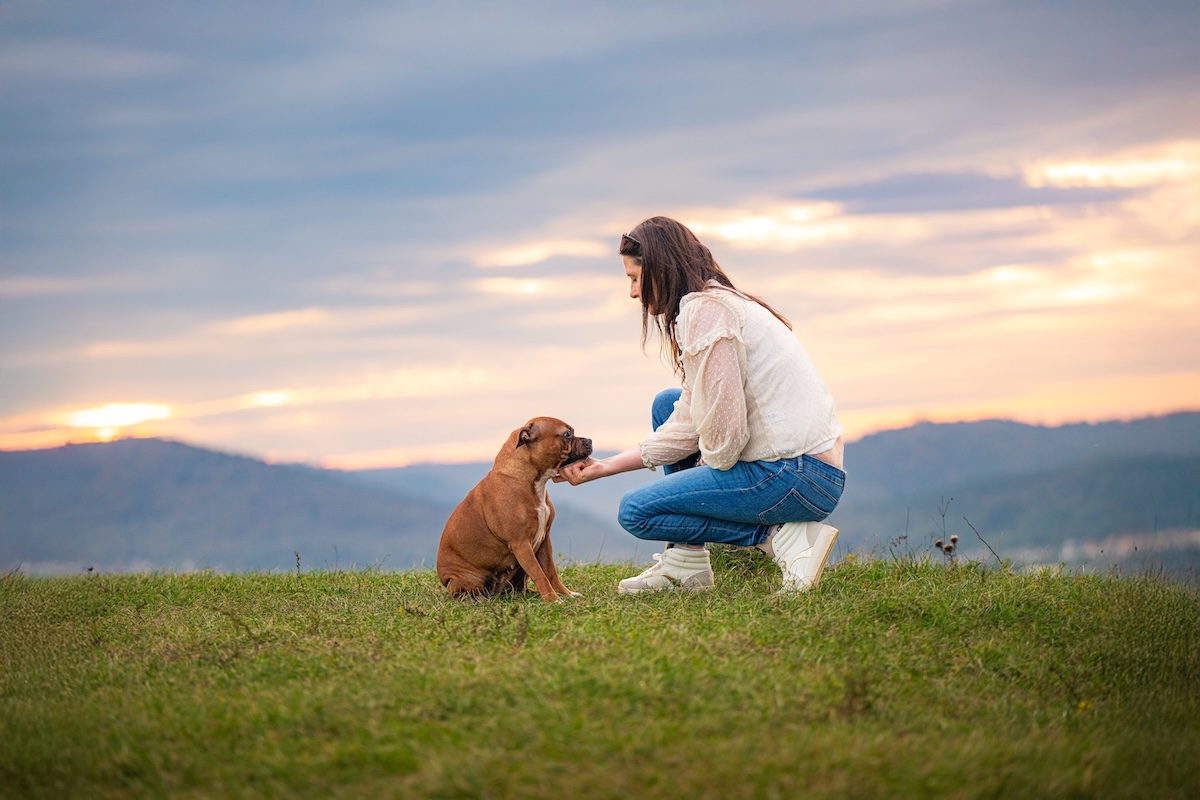 Moment câlin entre un chien et la praticienne bien-être animal