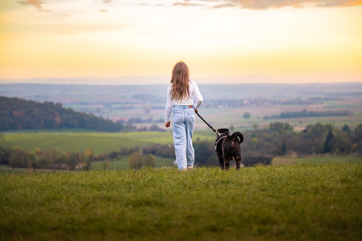 Jeune fille promenant son chien dans la nature