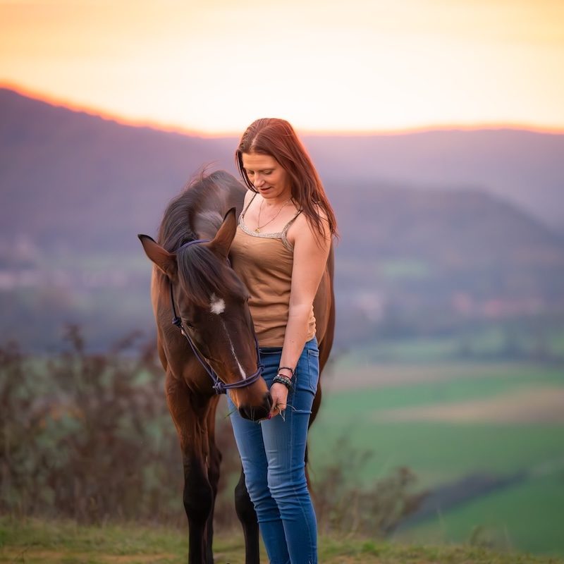 Praticienne bien-être animal nourrissant un cheval avec une grande proximité