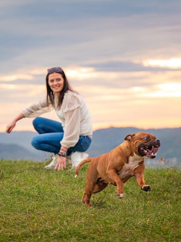 Chien plein d'énergie et en pleine santé courant énergiquement, sous le regard de la praticienne bien-être animal